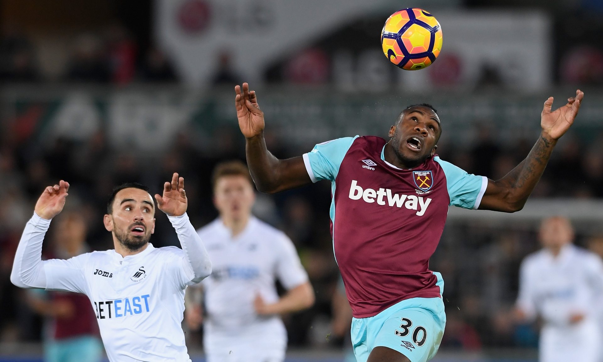 洲篮球锦标 洲篮球锦标